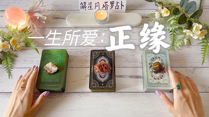 一生所爱：你的正缘👨‍👩‍👧‍👦👩‍👩‍👧‍👦👨‍👨‍👧‍👧正缘特征&性格特点→相处方式→你与正缘的恋爱❗️相遇时间&重要时刻🔮塔罗占卜正缘 - 天天要闻