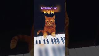 Ambient Cat 🐈😻🐈 #ambient #cats #piano #electronica