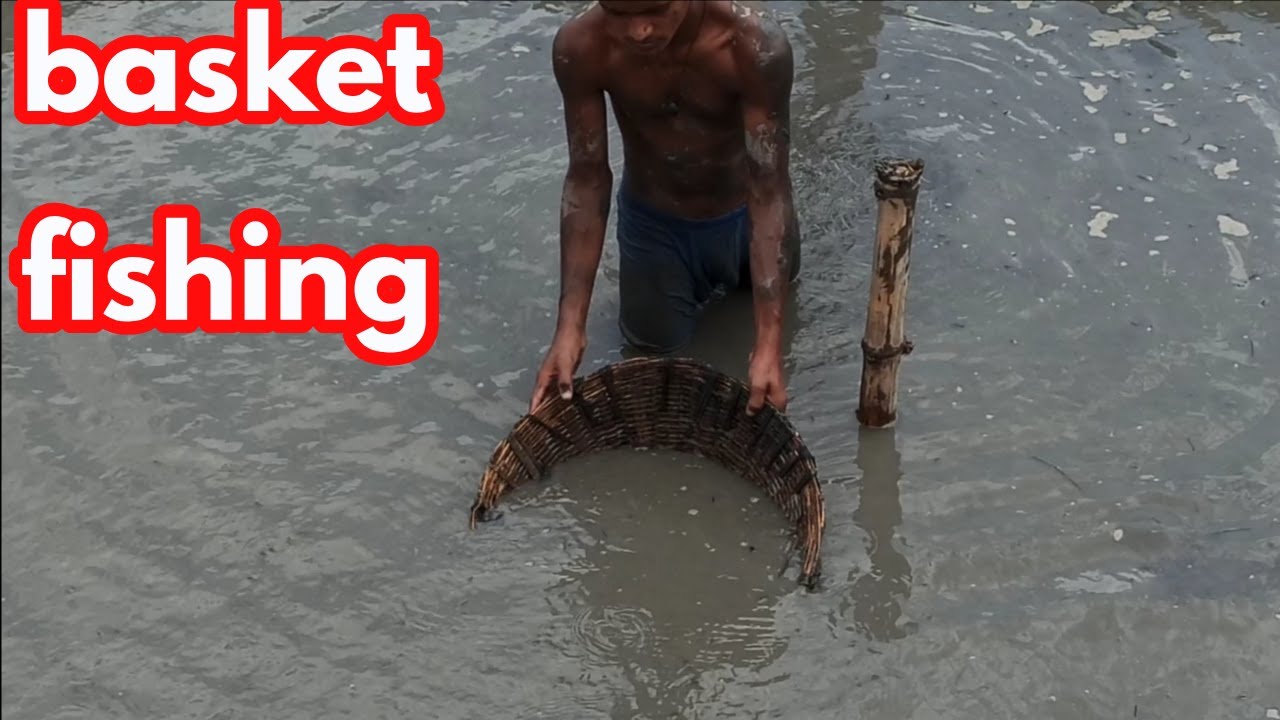 Basket fishing by fish hunter fish hunting in village Sundar