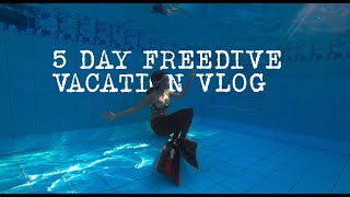 5 Day Freedive Vacation Vlog