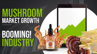 Mushroom Market Set To DOUBLE In Next 8 years! | GroCycle