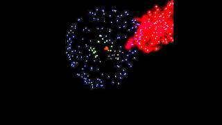 firework 05 12 2558