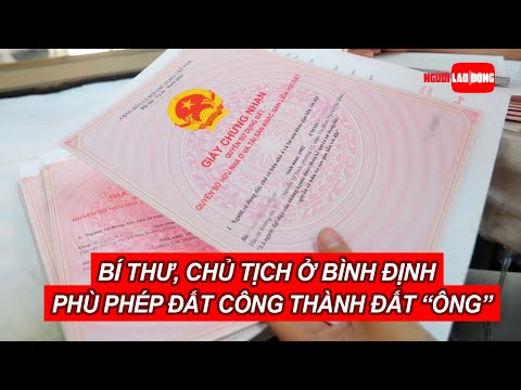 Video Bí thư, chủ tịch xã ở Bình Định 