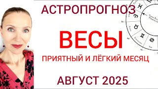 :    2025       ˨ 