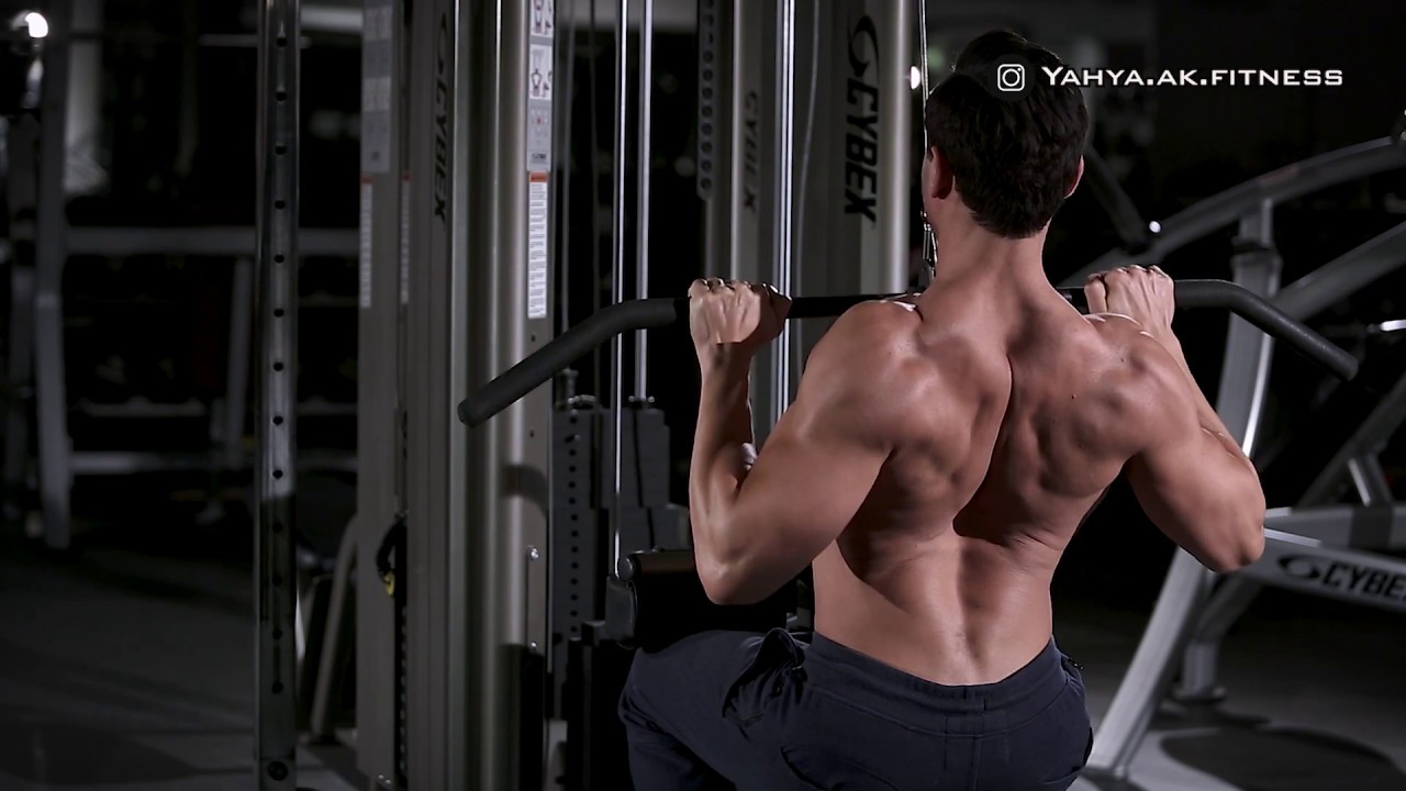 Exercise Anatomy: Back Workout