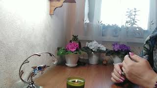 видео: #150 Визуализация: как это работает☝️ Часть-2 картинка: #150 Визуализация: как это работает☝️ Часть-2