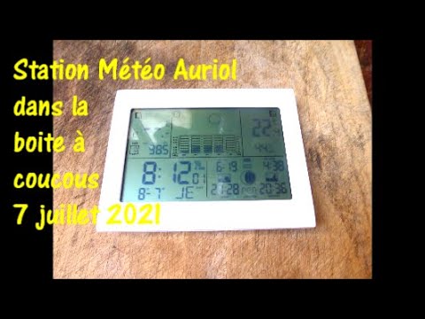 Station météo AURIOL IAN 307252 : alarme [Résolu]