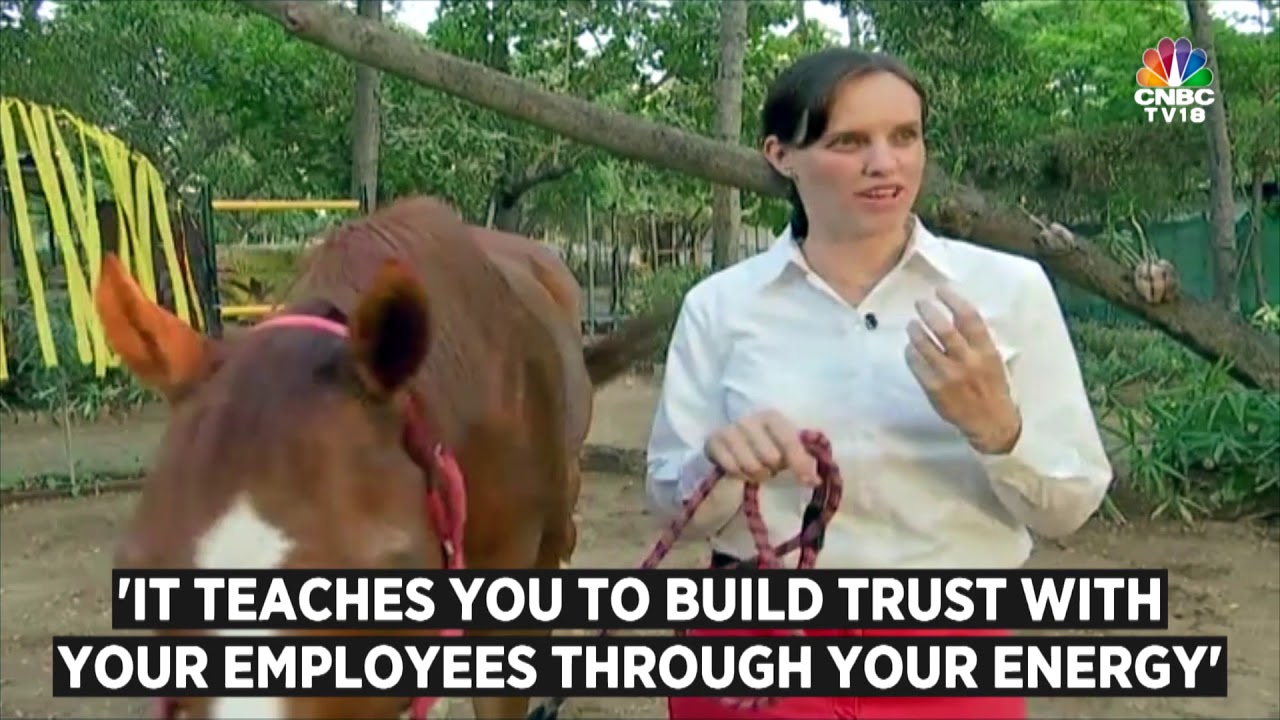 Horses Can Teach You A Lot About Leadership!