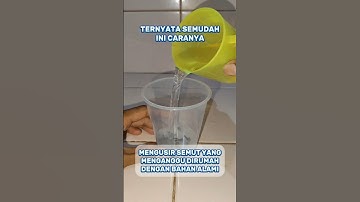 Belum banyak yang tau trik ini #creatorkampung #tutorial #idekreatif #tips #diy #tipspraktis #semut