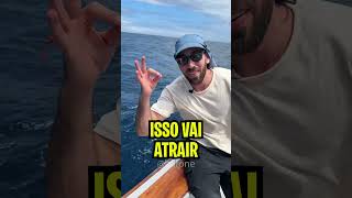 Essa Isca Para Pescar Marlins Gigantes É Chocante