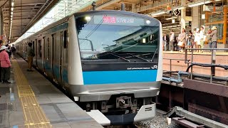 京浜東北線E233系南行き 東京駅到着《JR East Keihin-Tohoku Line Type E233 Train at Tokyo Sta.》