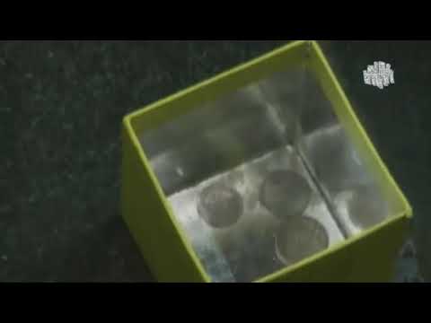 ბავშვები ჩვენი რეალობიდან