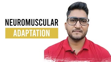 NEURO-MUSCULAR Adaptation