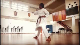Heian Nidan Shotokan Karate