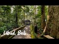 Bali vlog | 5 Reasons you must visit Ubud, Bali, Indonesia | 우붓 당일치기의 정석 - 원숭이사원, 발리스윙, 우붓시내