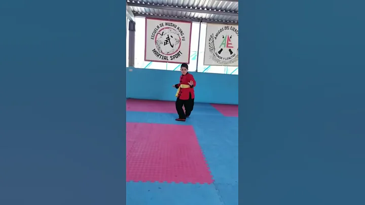 WUSHU TRADICIONAL   FIADYC 2020  EVERARDO ANGULO