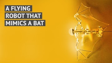 A flying robot that mimics a bat
