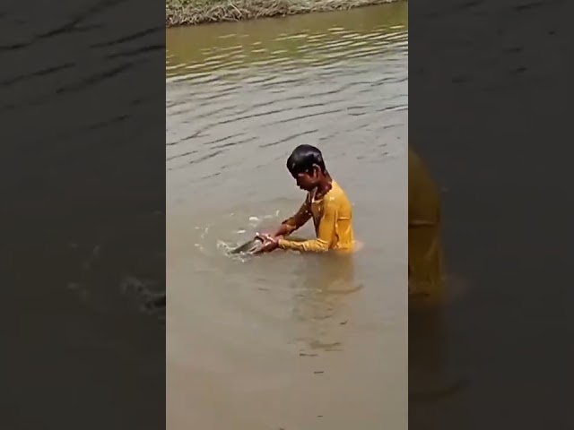 Wow Daily Life Amazing Fishing | Flowing Water River Dry Place Big Fish Catching Experience #fish class=