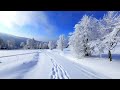 Pasos en la Nieve - Bebu Silvetti