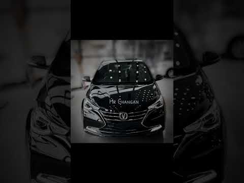 Alsvin Lumiere Black