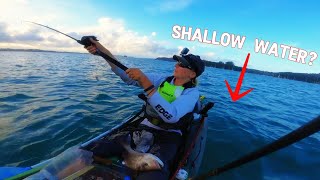 SURPRISINGLY Successful ?! | Shallow Water Snapper SLAY!