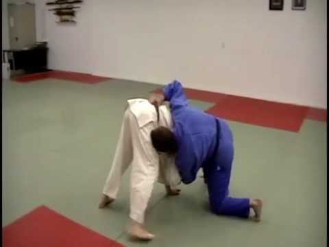 Judo & jiu-jitsu Take down by David Loshelder