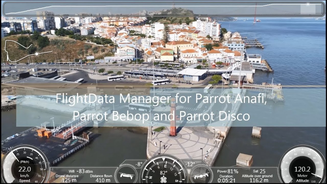 VIDEO PARROT DISCO SCARICA