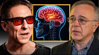 Stop Your Brain From Shrinking With Age