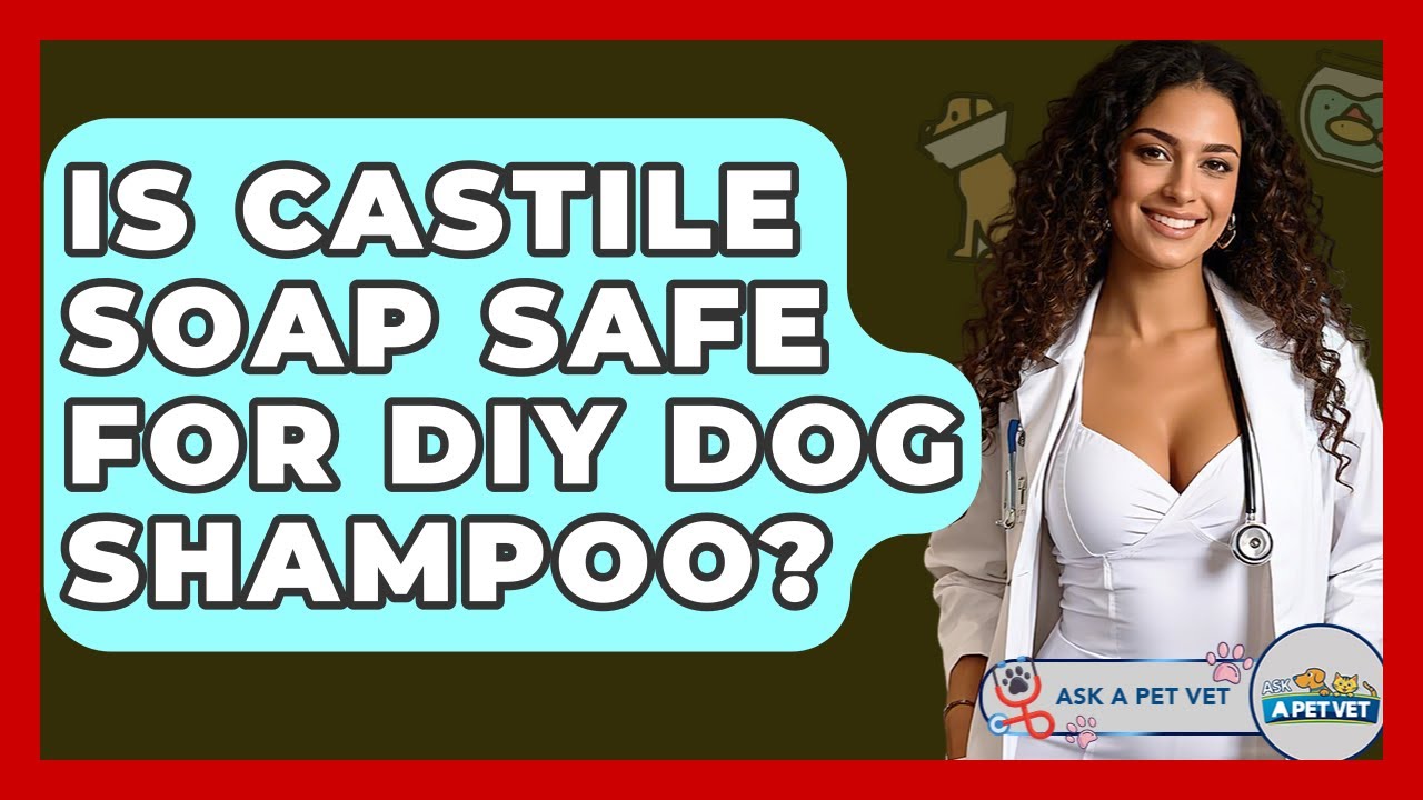 Is Castile Soap Safe For DIY Dog Shampoo? - Ask A Pet Vet