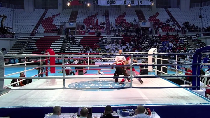 Tatjana Obermeier v Emine Arslan WAKO World Champi...