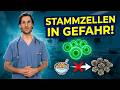Diese „gesunde“ Morgenroutine zerstört deine Stammzellen ab 60