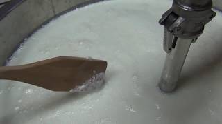 Своя сыроварня. Делаем Адыгейский сыр с кинзой. Cheese factory. Making cheese Своя сыроварня. Делаем Адыгейский сыр с кинзой. Cheese factory. Making cheese