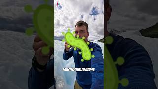 Clear Water Formed From Glaciers