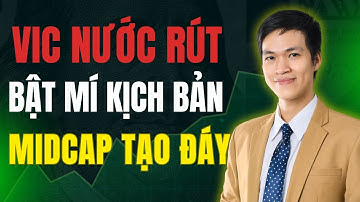 3 Bí Mật Về Midcap Và Kéo Trụ Giữ Chỉ Số Mà Nhà Đầu Tư Cần Biết