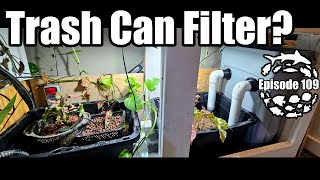 DIY Aquarium Filtration Made Easy From a Trash Can!