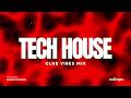 Dark Tech House Hypnosis Heavy Sub Bass Club Mix | noDropz #005
