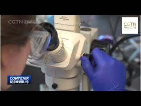 Un laboratoire américain, source du nouveau coronavirus ? Un laboratoire américain, source du nouveau coronavirus ?