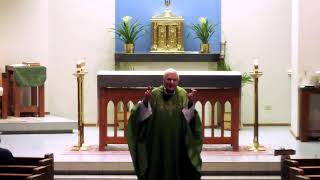 Twelfth Sunday of Ordinary Time Homily