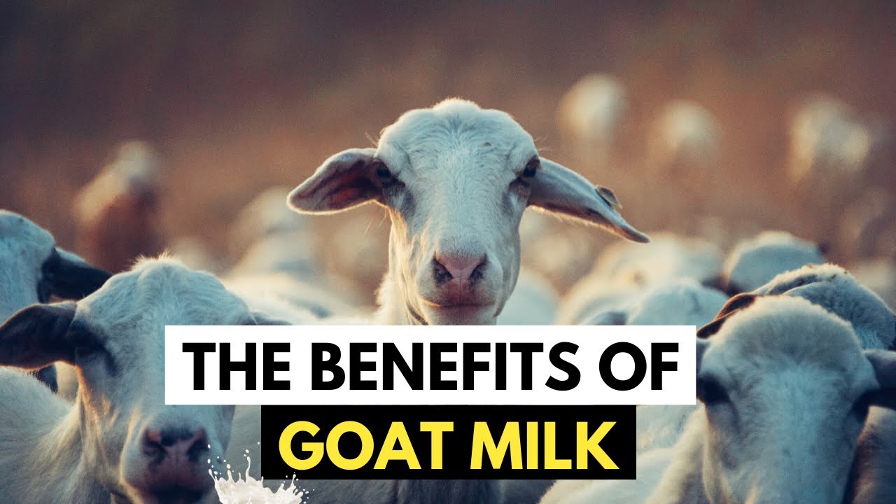 Benefits of Goat Milk