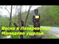 Апрель. Мамедово ущелье в Лазаревском.