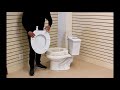 How to install a hinged toilet seat riser by horton  converse