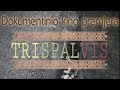 Vytauto V.Landsbergio dokumentinis filmas „Trispalvis“