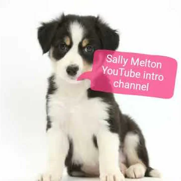Maisie by Sally Melton
