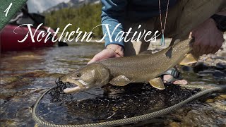 NORTHERN NATIVES | EPIC Canadian Fly Fishing Adventure