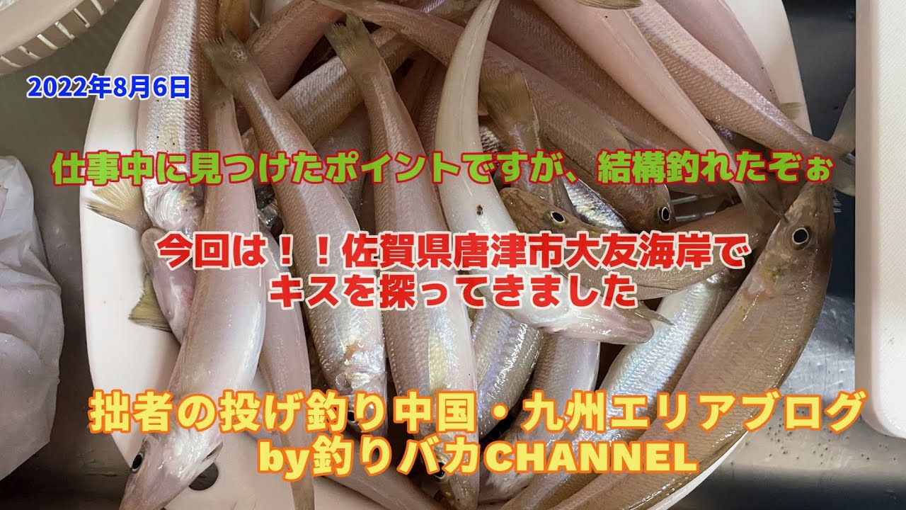 投げ釣り 22年8月6日キス釣行動画in唐津市大友海岸 初めてのポイントですが結構釣れましたよ Youtube 投げ釣り 22年8月6日キス釣行動画in唐津市大友海岸 初めてのポイントですが結構釣れましたよ Youtube