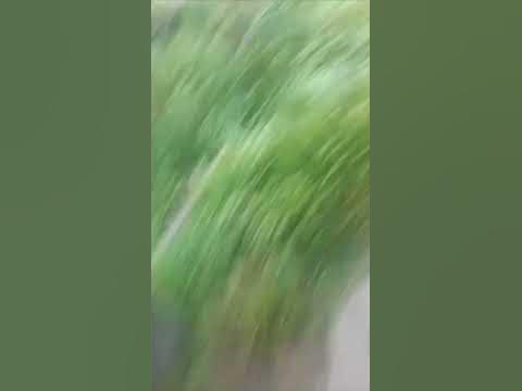 ярик бочок потик💀💀💀💀🎥💀🎥💀😭😢😭😢 - YouTube