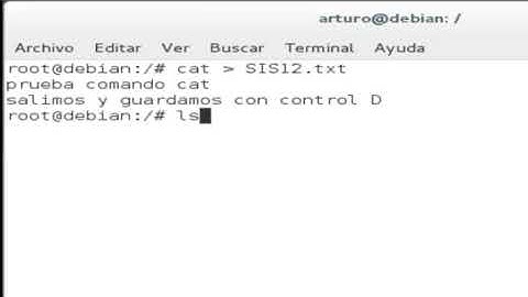 comando cat
