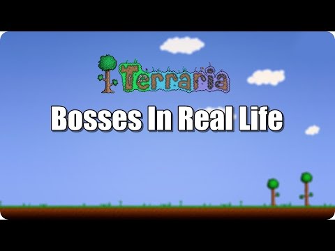 Terraria Bosses In Real Life #2 (Animated) 