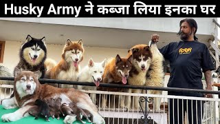 इतने बड़े घर के मालिक हैं Husky Dog | Siberian Husky Puppies | Husky Puppies in India