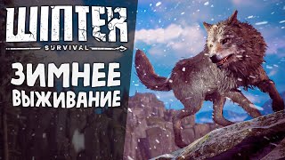 видео: СУРОВОЕ ЗИМНЕЕ ВЫЖИВАНИЕ! 🐺 Смотрим Winter Survival картинка: СУРОВОЕ ЗИМНЕЕ ВЫЖИВАНИЕ! 🐺 Смотрим Winter Survival